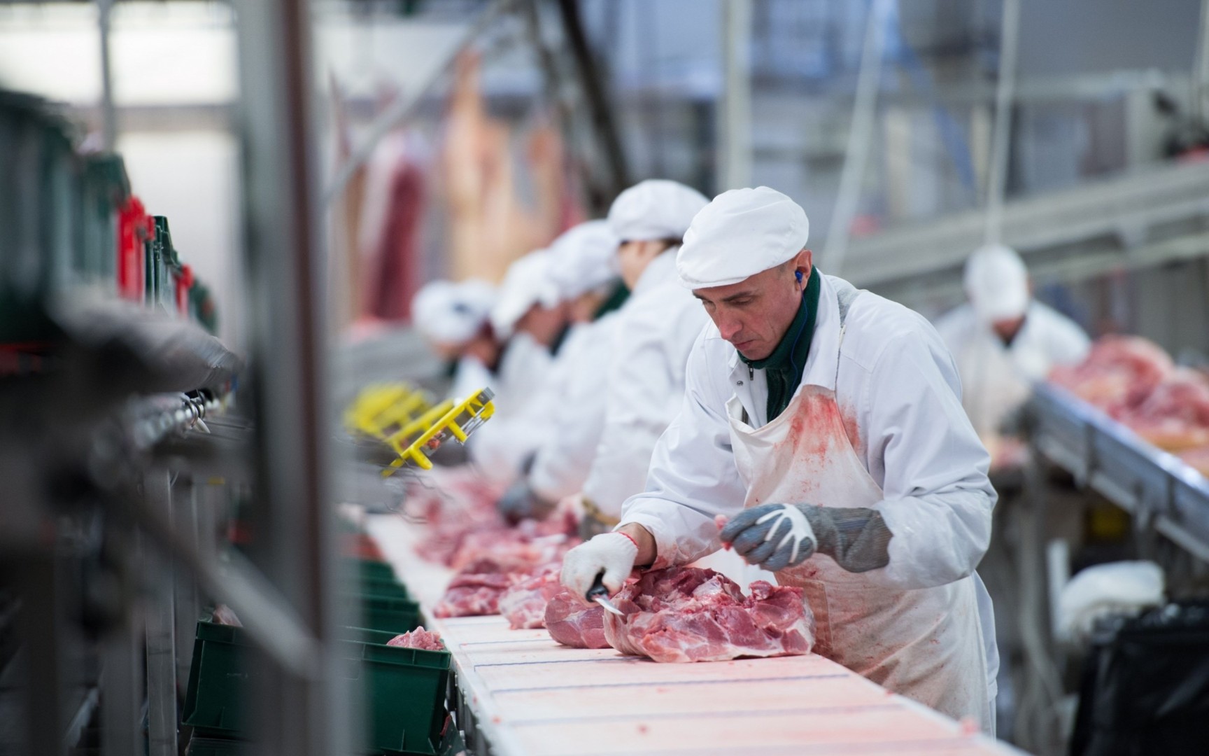 Food Processing Skills Canada